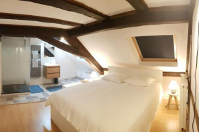 Les Toits de Colmar